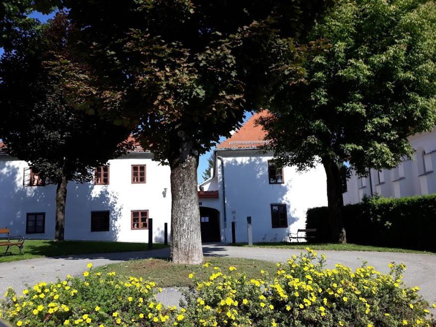 Lounge-Style-Hostel Sankt Veit an der Glan Exterior foto